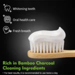 Activated Charcoal Whitening Toothpaste Lanemay Spu1010486319198 2