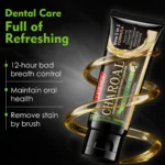 Activated Charcoal Whitening Toothpaste Lanemay Spu1012714228863 3