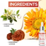 Lanemay Under Eye Serum Moisturizing Essence Spu1017995422485 4